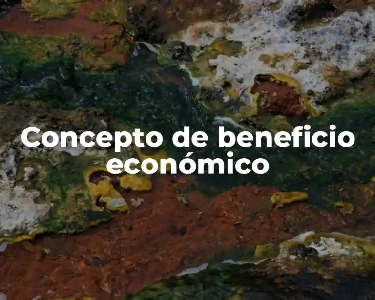 Concepto de beneficio económico