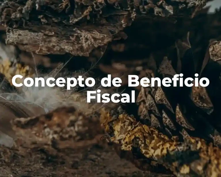 Concepto de Beneficio Fiscal