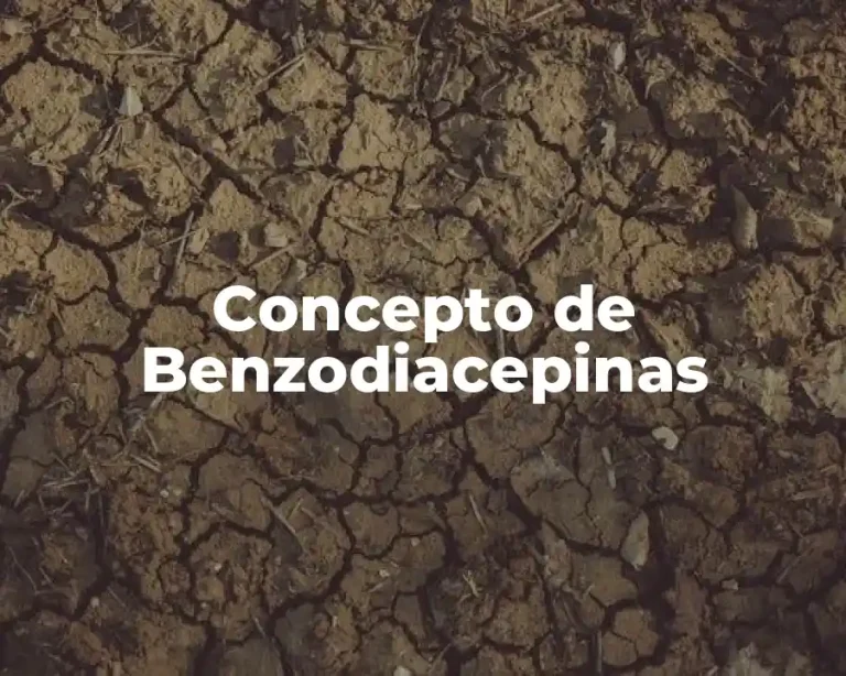 Concepto de Benzodiacepinas