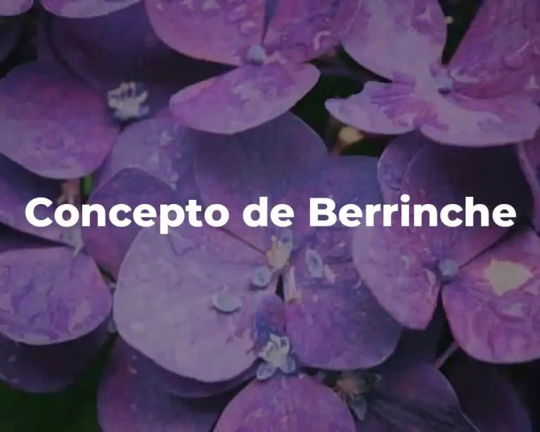 Concepto de Berrinche