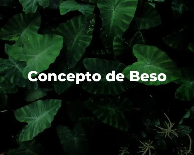 Concepto de Beso