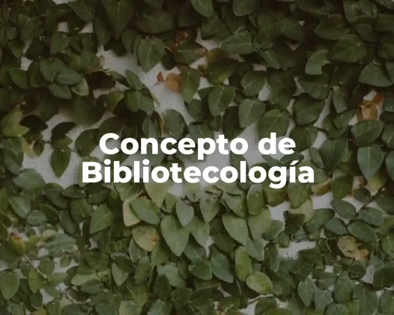 Concepto de Bibliotecología