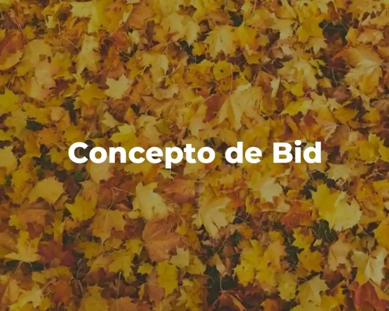 Concepto de Bid
