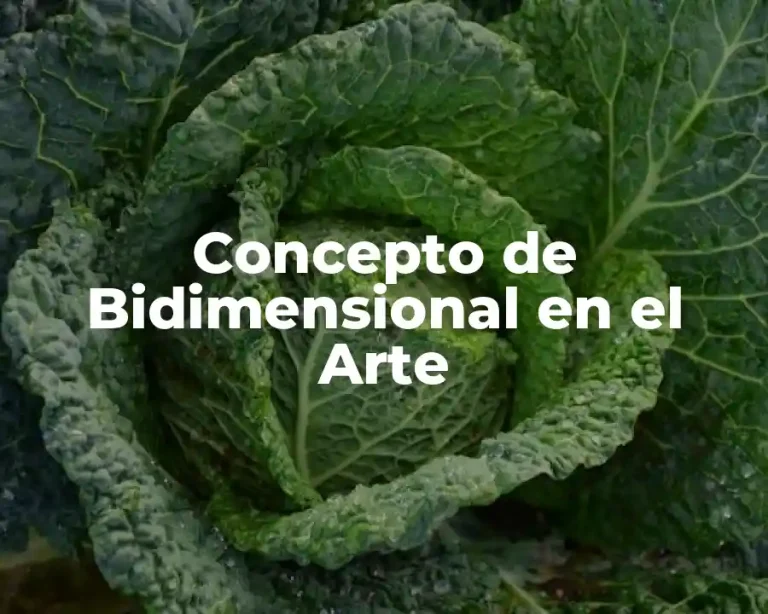 Concepto de Bidimensional en el Arte