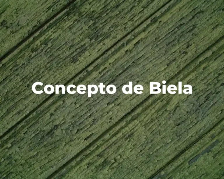 Concepto de Biela