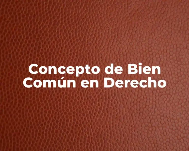 Concepto de Bien Común en Derecho
