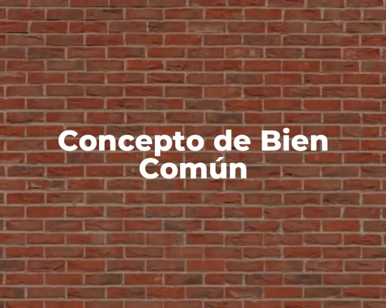 Concepto de Bien Común