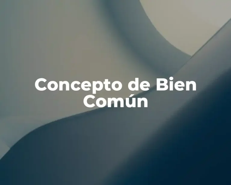 Concepto de Bien Común