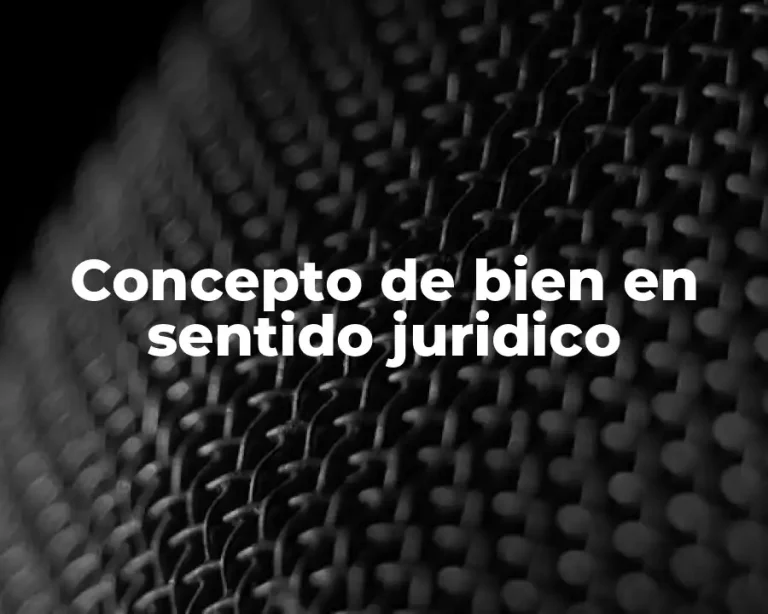 Concepto de bien en sentido juridico