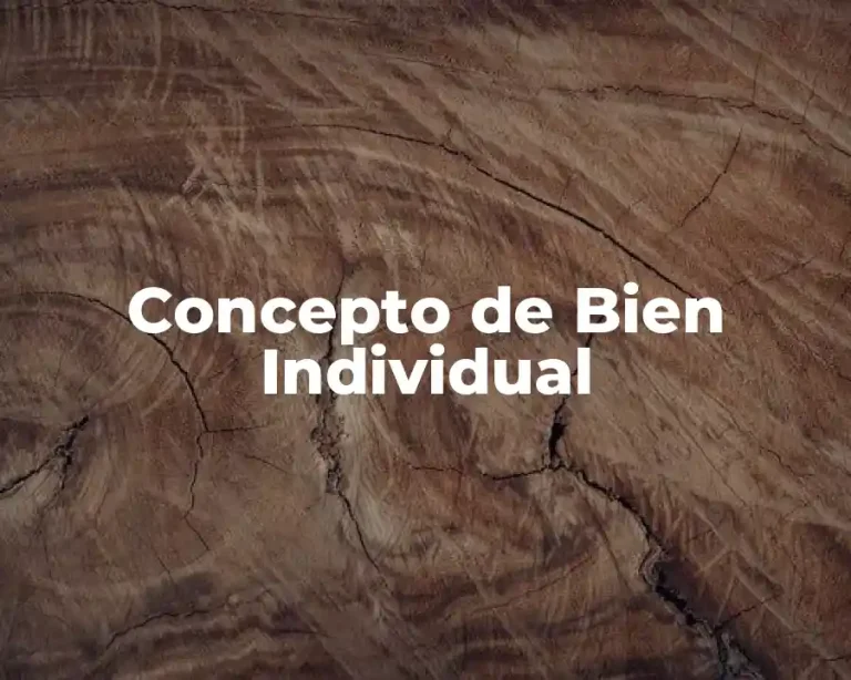 Concepto de Bien Individual