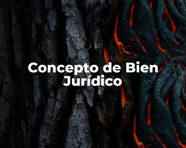 Concepto de Bien Jurídico