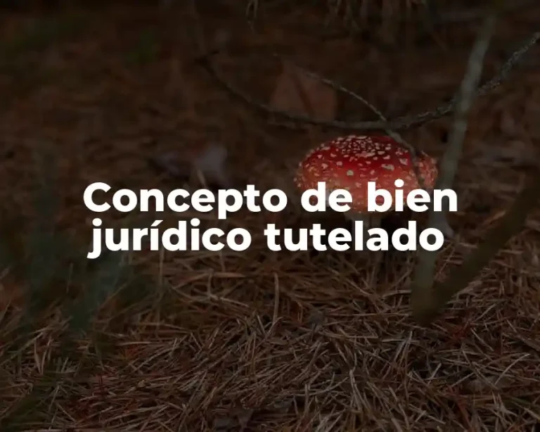 Concepto de bien jurídico tutelado