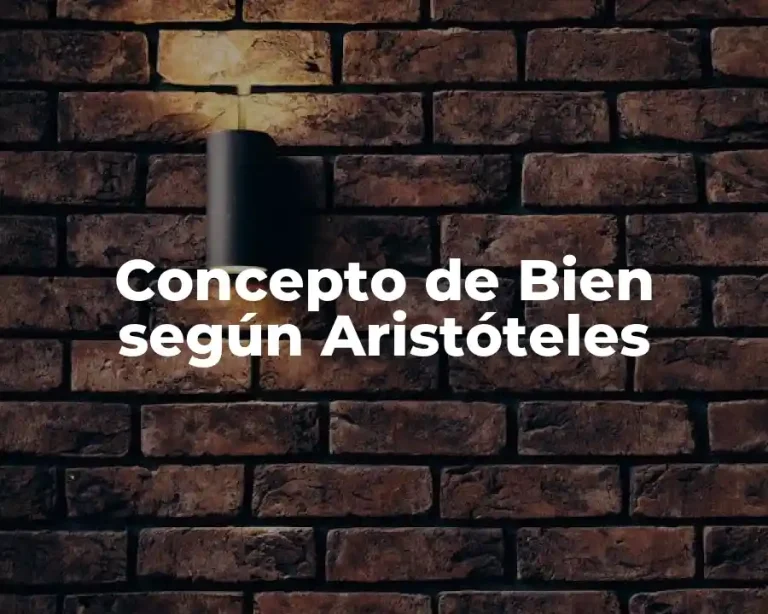 Concepto de Bien según Aristóteles