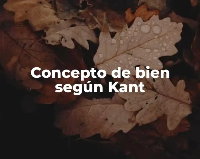 Concepto de bien según Kant