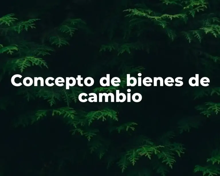 Concepto de bienes de cambio