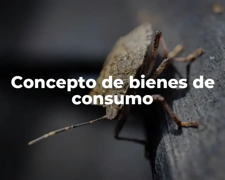 Concepto de bienes de consumo
