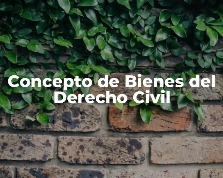 Concepto de Bienes del Derecho Civil