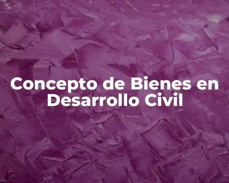 Concepto de Bienes en Desarrollo Civil