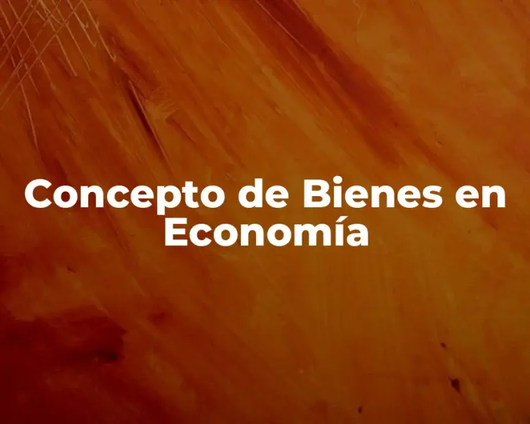 Concepto de Bienes en Economía