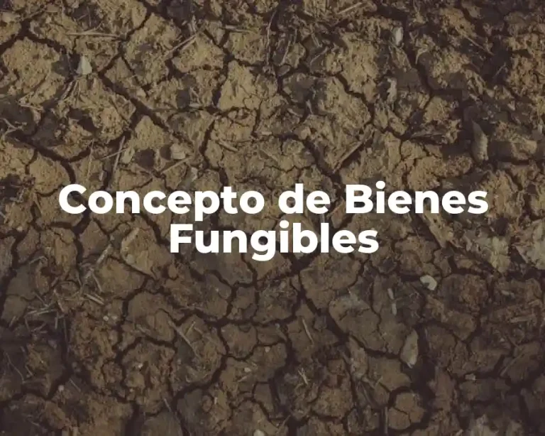 Concepto de Bienes Fungibles