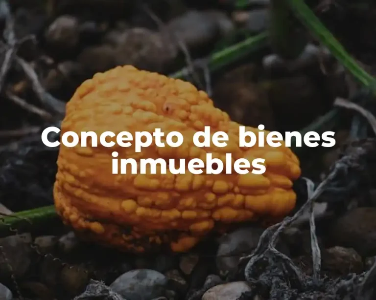 Concepto de bienes inmuebles