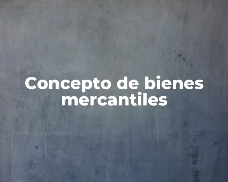 Concepto de bienes mercantiles