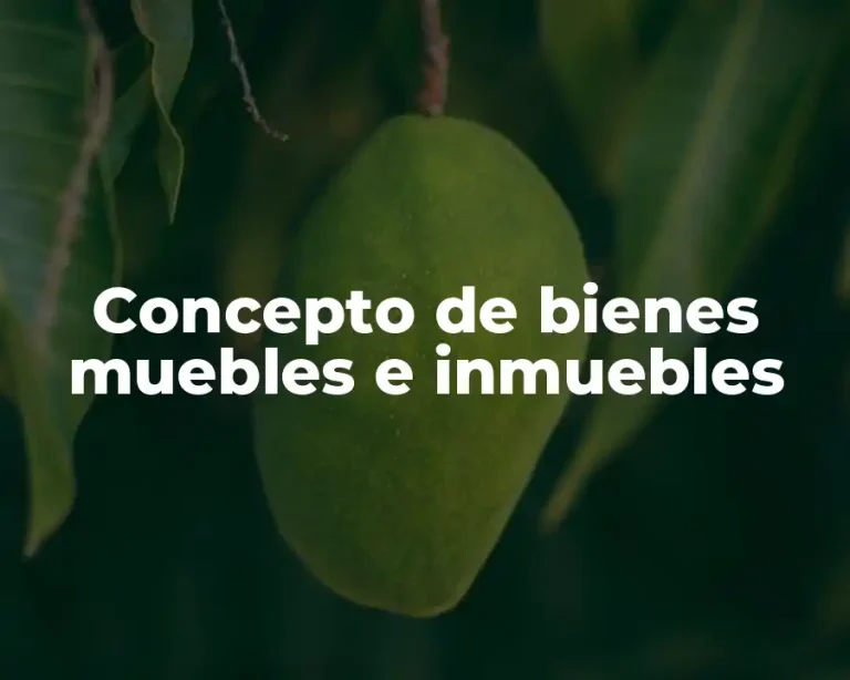 Concepto de bienes muebles e inmuebles