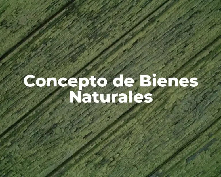 Concepto de Bienes Naturales