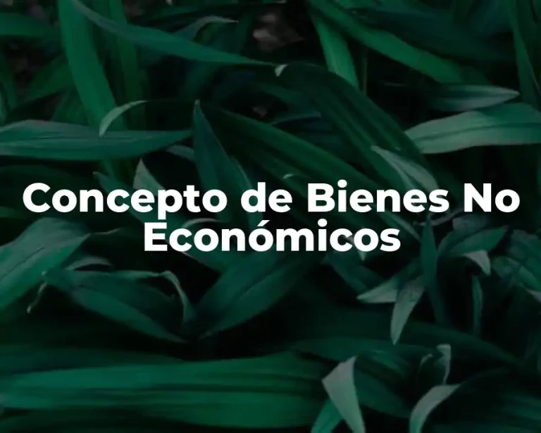Concepto de Bienes No Económicos