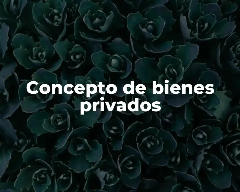 Concepto de bienes privados
