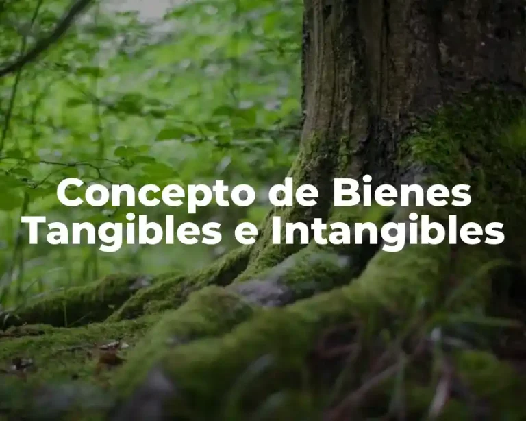 Concepto de Bienes Tangibles e Intangibles