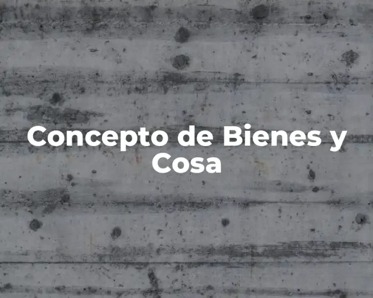 Concepto de Bienes y Cosa