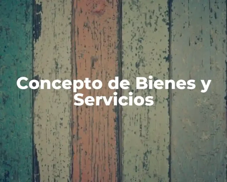 Concepto de Bienes y Servicios