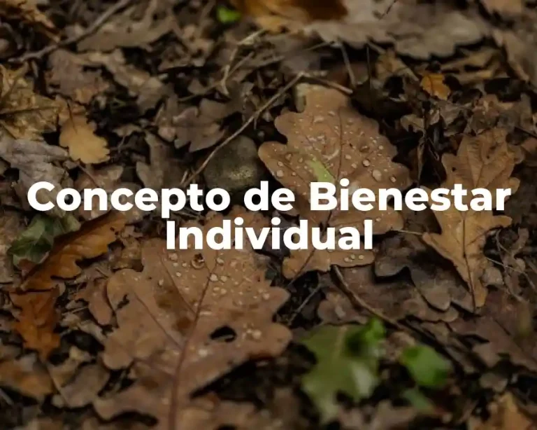 Concepto de Bienestar Individual