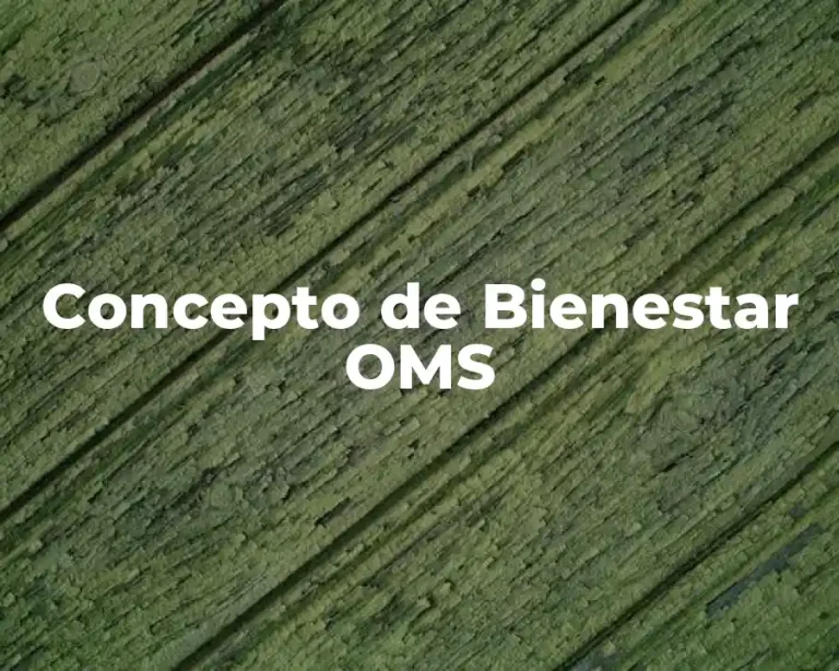 Concepto de Bienestar OMS
