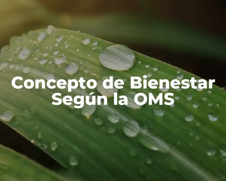 Concepto de Bienestar Según la OMS