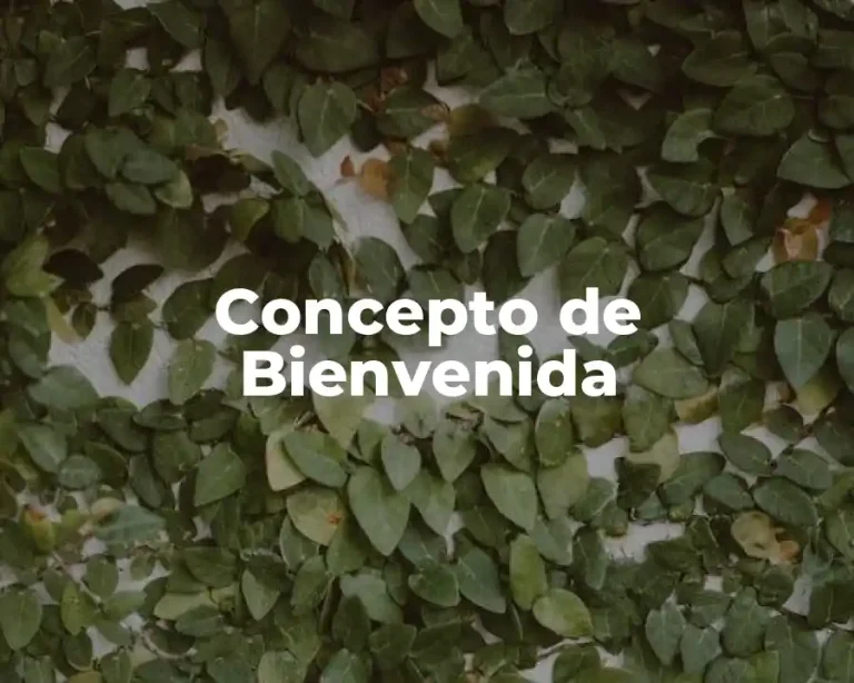 Concepto de Bienvenida
