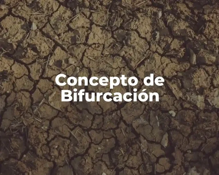 Concepto de Bifurcación