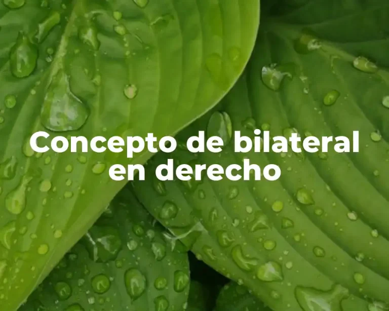 Concepto de bilateral en derecho