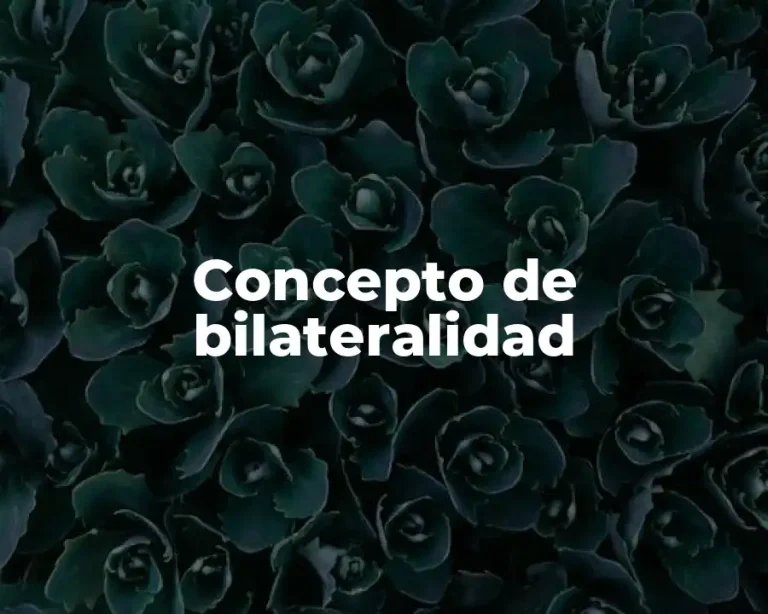 Concepto de bilateralidad