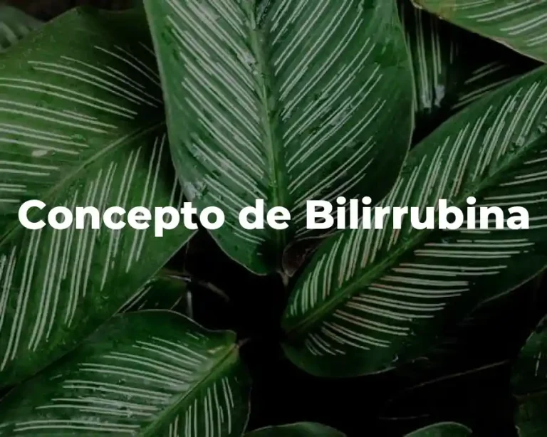 Concepto de Bilirrubina