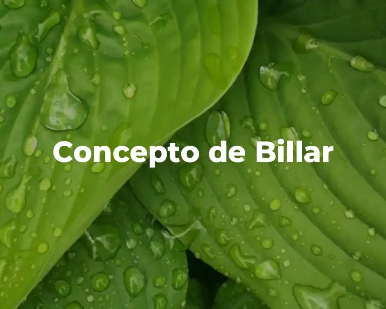 Concepto de Billar