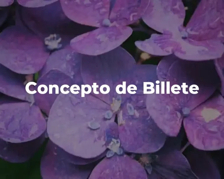Concepto de Billete