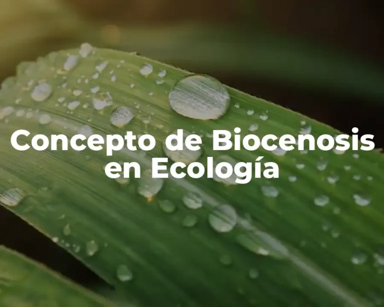 Concepto de Biocenosis en Ecología