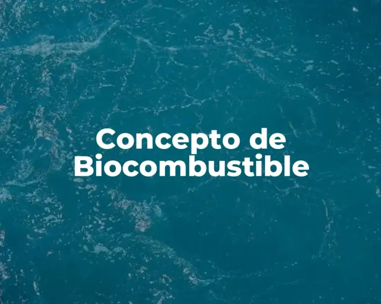 Concepto de Biocombustible