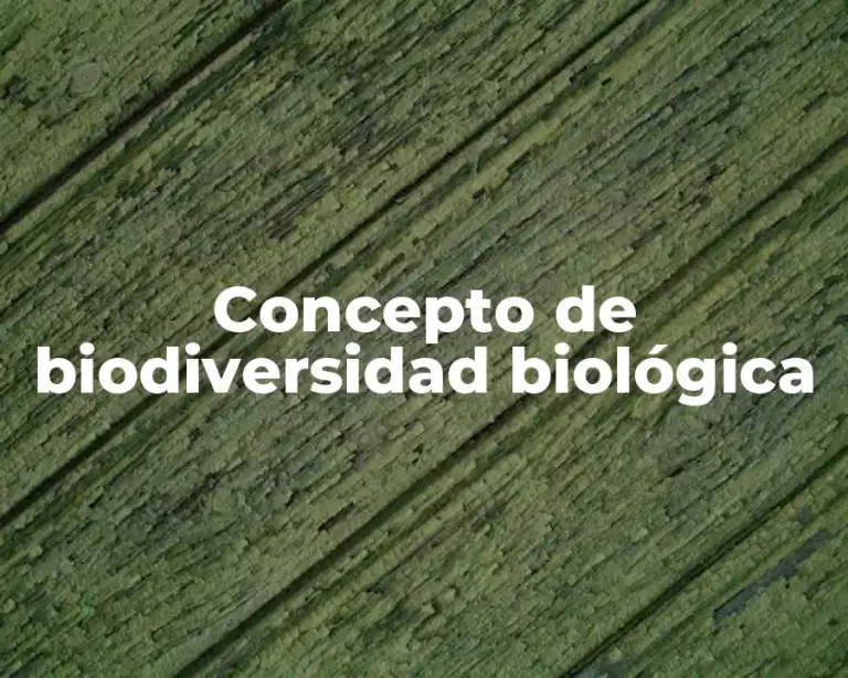 Concepto de biodiversidad biológica