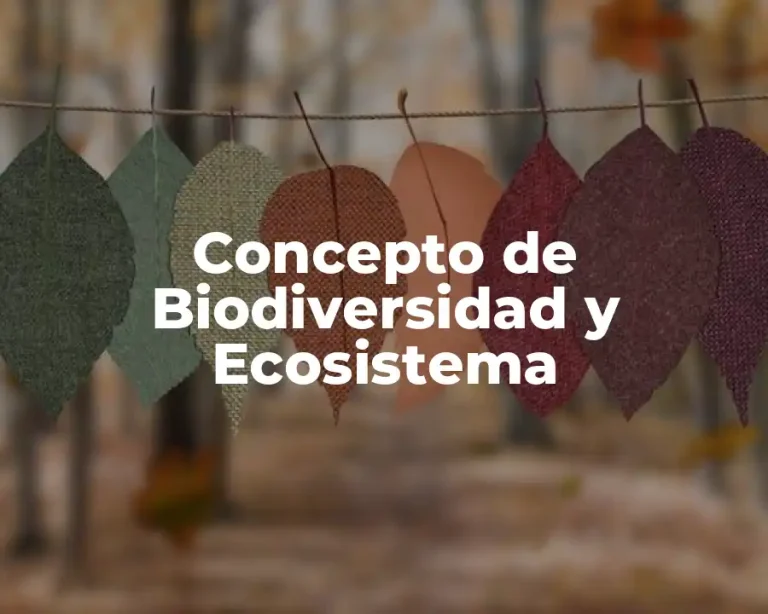 Concepto de Biodiversidad y Ecosistema