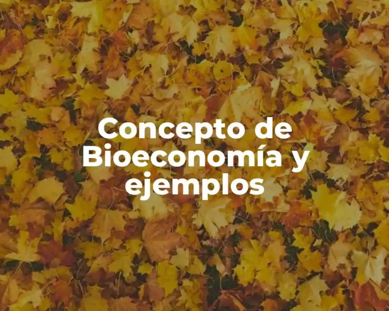 Concepto de Bioeconomía y ejemplos