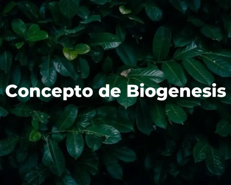 Concepto de Biogenesis