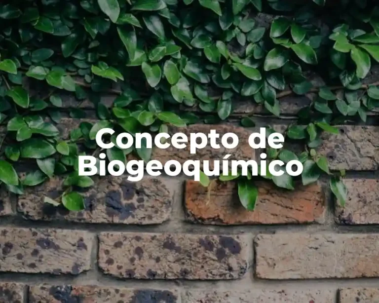 Concepto de Biogeoquímico